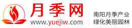 月季网 - 树状藤本大花，月季批发交易基地